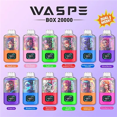 Waspe 20000 Puffs Dual Mesh Box Vanuable